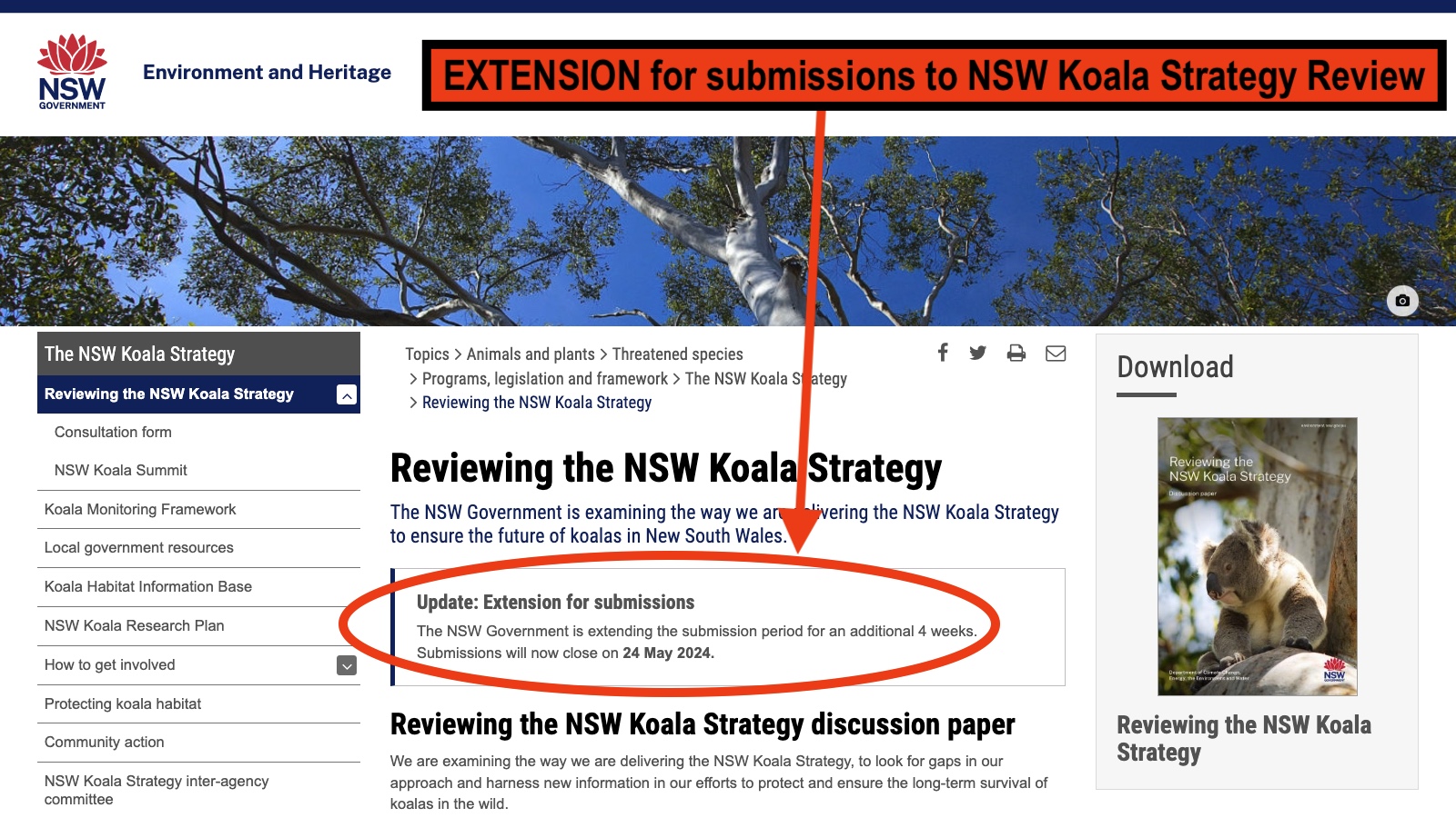 Extension to NSW Koala Strategy Review
